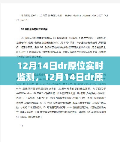 12月14日DR原位实时监测，利弊分析与个人观点探讨