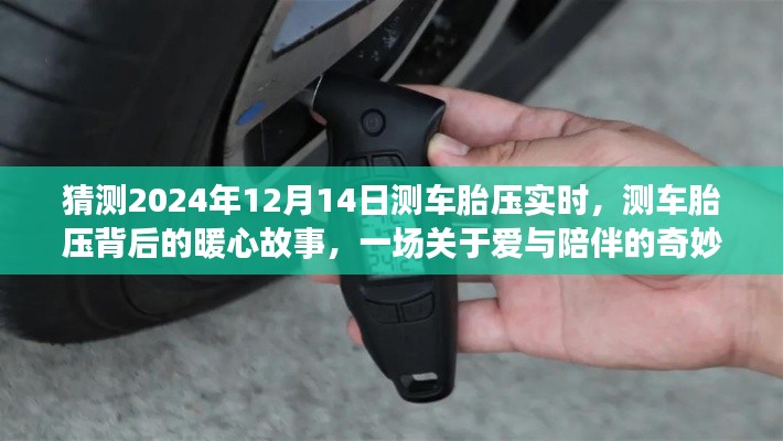 爱与陪伴的奇妙旅程，测车胎压背后的暖心故事，预测2024年12月14日实时体验分享