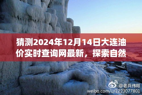 2024年油价预测与大连自然美景探索，心灵宁静之旅