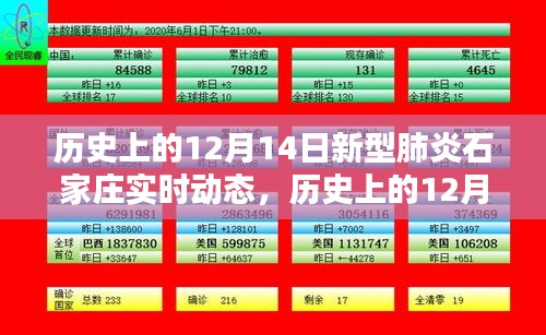 历史上的12月14日石家庄新型肺炎实时动态综述及要点解析