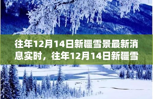 往年12月14日新疆雪景深度解析，视觉盛宴背后的影响与深思