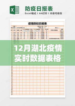 12月湖北疫情实时数据表格，全面评测与详细介绍