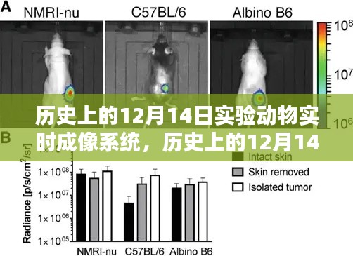 实验动物实时成像系统诞生与影响回顾，历史上的12月14日纪念文章