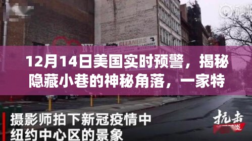 揭秘隐藏小巷的神秘角落，特色小店在实时预警中的崭露头角（美国篇）