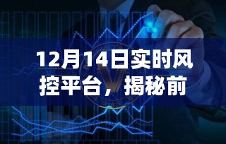 揭秘前沿科技魅力，实时风控平台重塑风控新纪元，引领风控新趋势（12月14日）