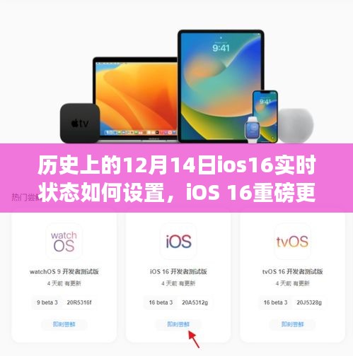 iOS 16重磅更新揭秘，12月14日实时状态革新，科技重塑生活体验