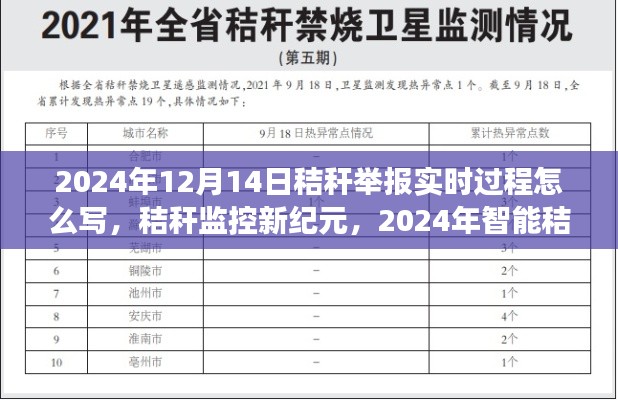 智能秸秆监控新纪元，实时举报体验之旅（2024年秸秆监控发展）