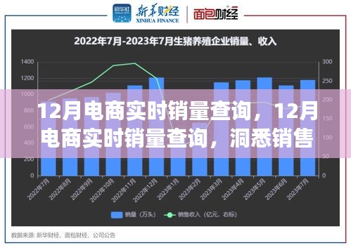 洞悉销售趋势，把握市场脉动，12月电商实时销量查询数据解析