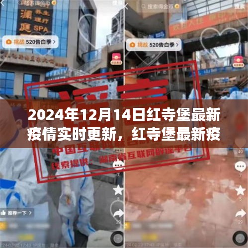 红寺堡最新疫情实时更新报告（聚焦解读，日期，2024年12月14日）