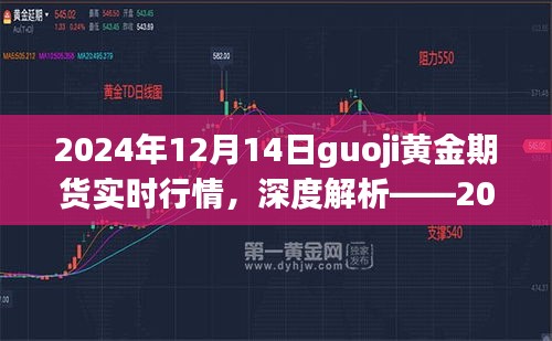 深度解析，2024年12月14日国际黄金期货实时行情全面体验与评测