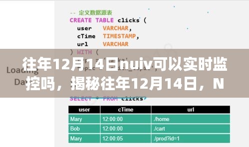 揭秘，往年12月14日NUIV的实时监控功能解析