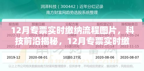 揭秘科技前沿，12月专票实时缴纳流程数字化革新，智能时代专票缴纳流程详解