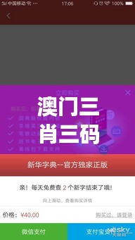 澳门三肖三码精准100%新华字典：探索编码艺术与语言魅力的完美融合