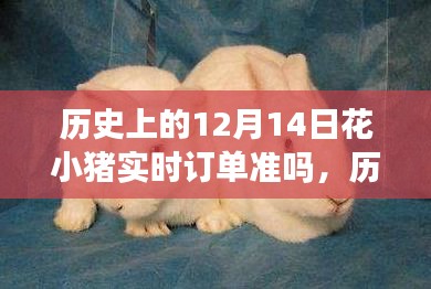 历史上的12月14日花小猪实时订单准确性探讨