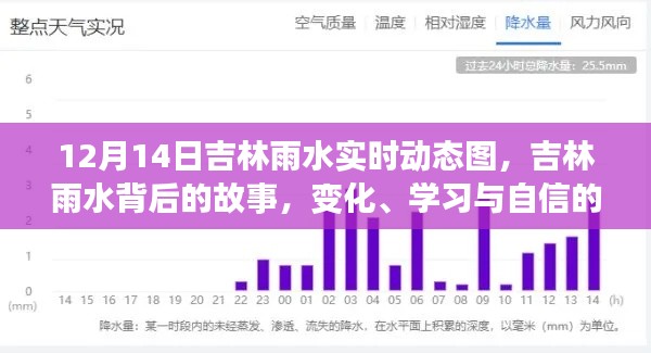 吉林雨水背后的故事，变化、学习与自信的力量——实时动态图解析