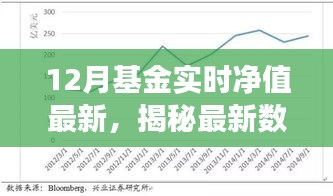 揭秘最新数据，深度解读12月基金实时净值变化报告