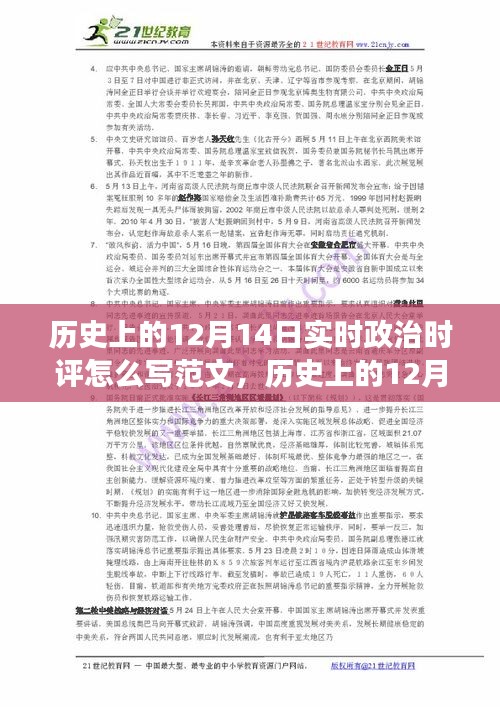 历史上的12月14日政治时评撰写指南，特性、体验、竞品对比与用户分析全解析