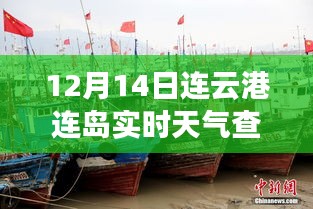 12月14日连云港连岛天气与探索自然美景之旅