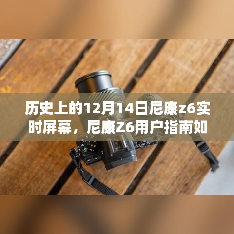 历史上的十二月十四日，尼康Z6实时屏幕功能设置与使用指南