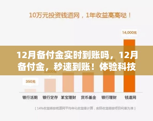 12月备付金实时到账体验，秒速到账，感受金融科技的革新力量