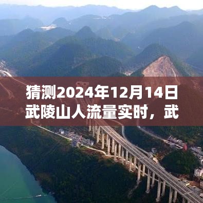 揭秘武陵山风景区，2024年12月14日人潮涌动实时揭秘