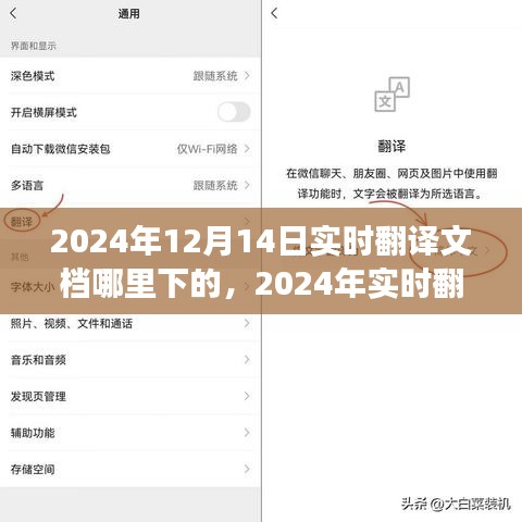 2024年实时翻译文档下载盛景，背景、事件与影响