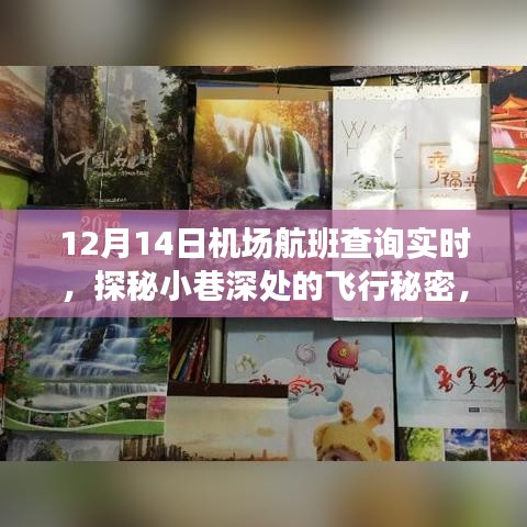 探秘小巷深处的飞行秘密，特色小店带你体验机场航班实时查询之旅