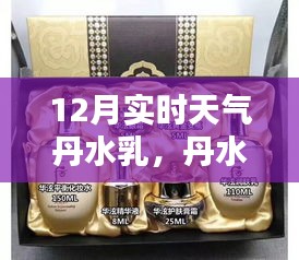 2024年12月17日 第18页