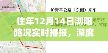 往年12月14日浏阳路况深度解析，交通挑战与应对策略实时播报