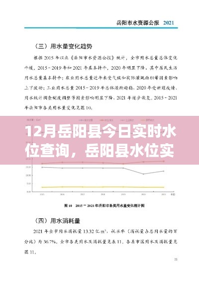 岳阳县实时水位报告，深度解析背后的故事与影响