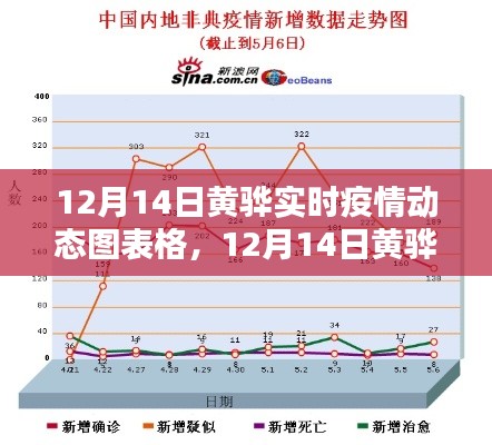 12月14日黄骅实时疫情动态图表分析与解读