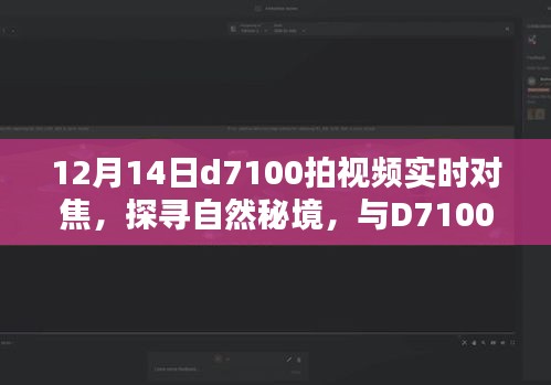 D7100探寻自然秘境，视频实时对焦捕捉内心的宁静