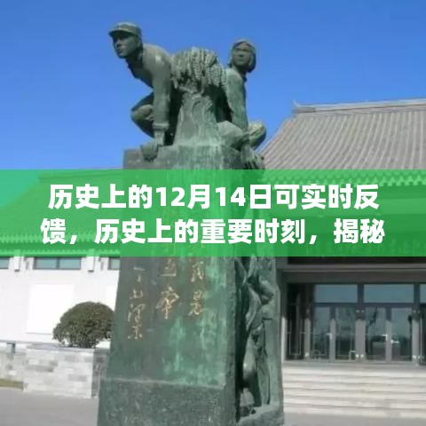 揭秘十二月十四日的独特印记，历史上的重要时刻实时反馈