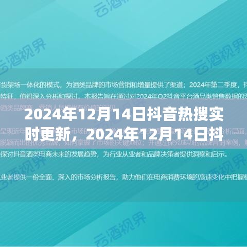 揭秘网络热门话题背后的故事，2024年12月14日抖音热搜实时更新