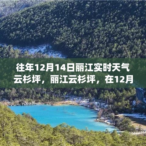 丽江云杉坪，寻找内心的宁静与自然魔法的秘密之旅（往年12月14日实时天气）