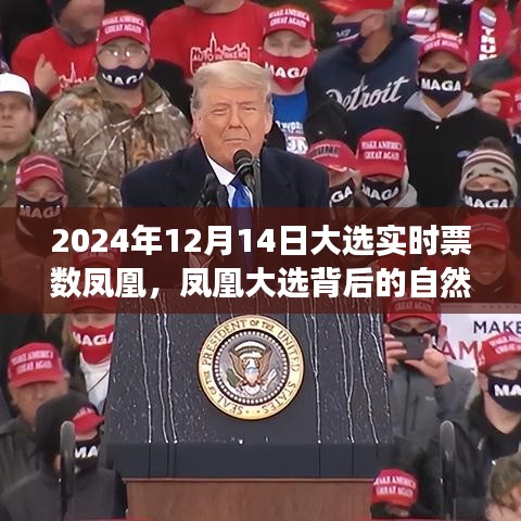 凤凰大选背后的自然之旅，探寻内心平静的奇妙探险（2024年大选实时票数解读）