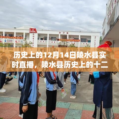 陵水县历史直播日，穿越时空的十二月十四日实时直播纪实