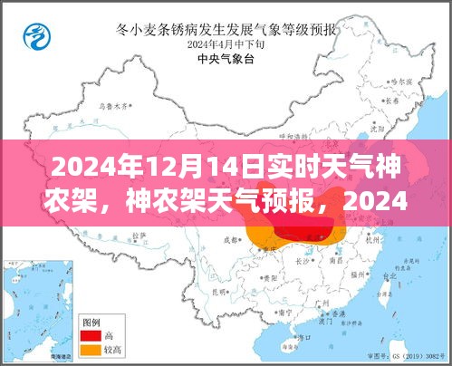 2024年12月14日神农架实时天气预报详解与应对指南