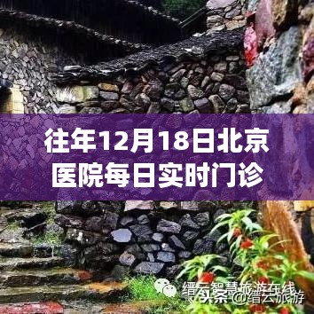 探秘北京医院12月18日门诊量的背后故事，小巷深处的医疗秘境揭秘