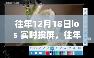 往年12月18日iOS实时投屏功能全面评测与介绍