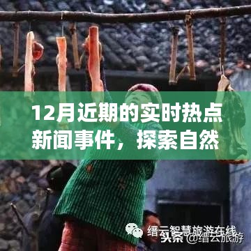 十二月热点新闻盘点，探索自然秘境，领略最新美景热点