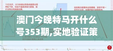 澳门今晚特马开什么号353期,实地验证策略数据_豪华款10.286