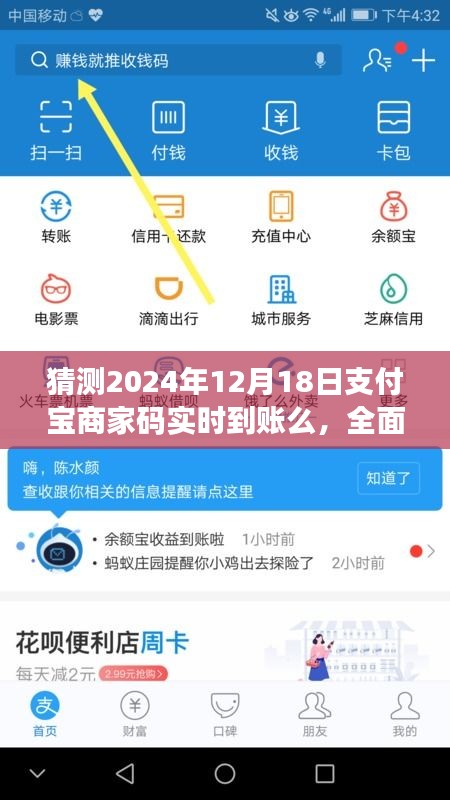 全面评测支付宝商家码实时到账功能，预测分析至2024年12月18日的实时到账情况展望