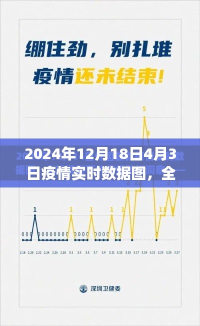 全球疫情实时数据图，聚焦观察与分析2024年疫情波动期