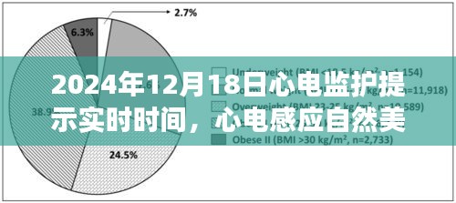 心电感应之旅，寻找内心平静的奇妙历程