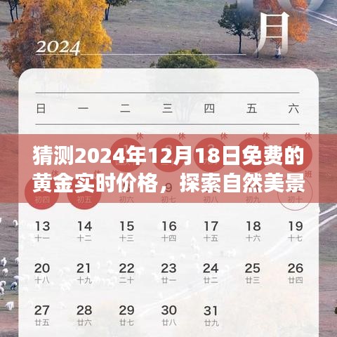 『黄金时刻，探索自然美景之旅，预测黄金价格与寻找内心宁静的宝藏之旅』