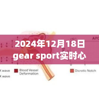 Gear Sport 2024实时心率监测重塑运动体验，引领健康科技新浪潮