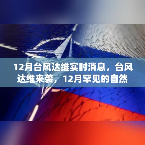 台风达维来袭，12月罕见自然现象及应对策略分析实时更新