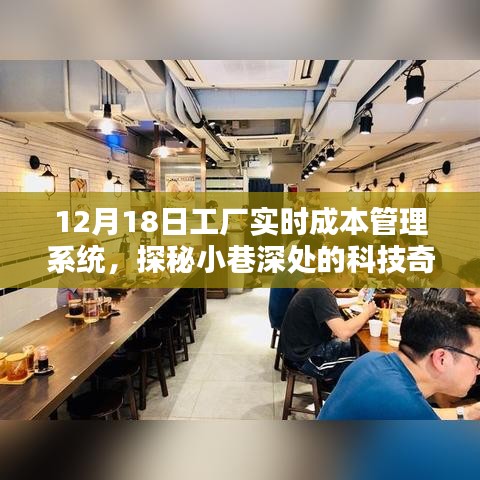 探秘工厂实时成本管理系统，小巷深处的科技奇迹揭秘之旅（12月18日）