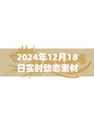 2024年12月18日实时动态素材文字图片的综合论述与实时动态更新